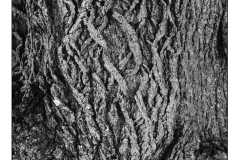 2025-04-28_153659_0